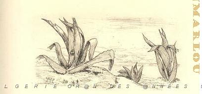 JACQUES ROGER SIMON  1875-1965 (7).jpg